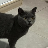毛衣