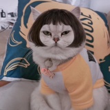 猴面包君心别累