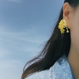 小姐姐