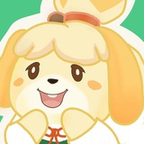 momo（狗狗版
