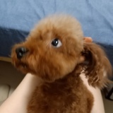 澈澈清清