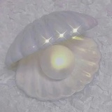 我爱吃鸭爪