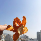 会翻身的大鱼