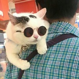 希望拷问