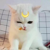 AsMa__