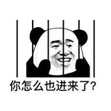 顶风作案