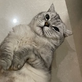 是三米呀