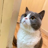 高兴过了头