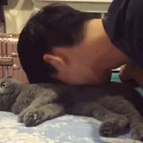 莱莱
