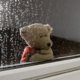 rainybear