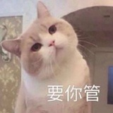 懒懒懒懒