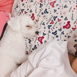 王小来