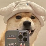 求求别掉头发了