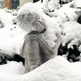 含盐湖泊