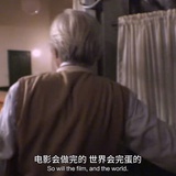 野生小狗爱好者
