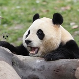 我要逆反