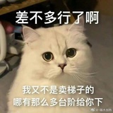 别闹了