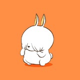 懵啦