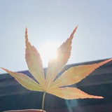 滚滚