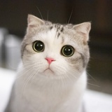 HZ远