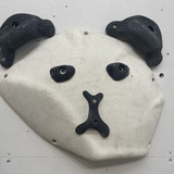 S小晖