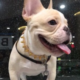 十三、