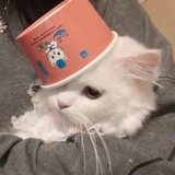 冬天几时完