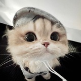 桑延（嗝屁版）