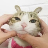 么么哒