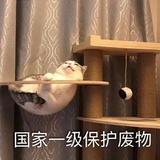 正上方的月亮🌙