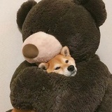 凉夜秉烛
