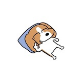 胖桃罐头