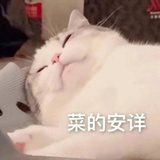 小丝椒白蕊