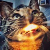 超级脸盲摄影师