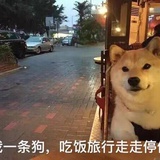 大角兽犊子。