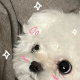 娜娜子