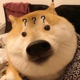 土豆哪里去挖