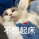 小蝴蝶略略略