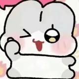 AKB48-张元英