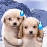 张帅博的师傅