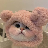 Serendipity