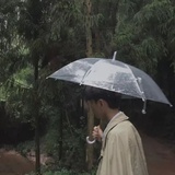 泊如