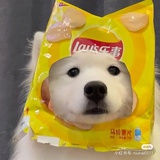战损粉底液