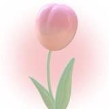 素质教育