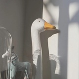 LLLLLLLL
