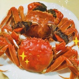 阿旺轩zi