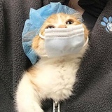 牛奶煮椰奶