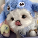 怡U