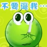 小蝴蝶敬实