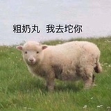 李二狗